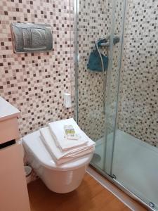 La salle de bains est pourvue d'une douche et de toilettes. dans l'établissement Bragas Studios, à Porto