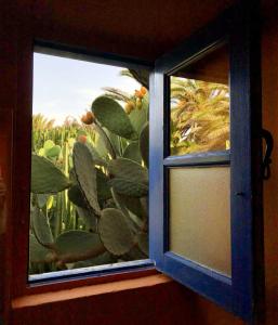 Fotografia z galérie ubytovania Casa Panama,in der Finca Mimosa v destinácii Teguise