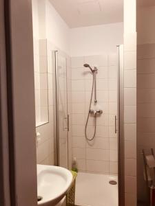 een badkamer met een douche en een wastafel bij Old Citycenter Appartment in Graz