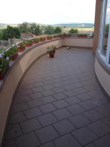 Foto sihtkohas Lugoj asuva majutusasutuse Pensiunea Dariana galeriist