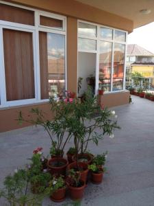 Foto sihtkohas Lugoj asuva majutusasutuse Pensiunea Dariana galeriist