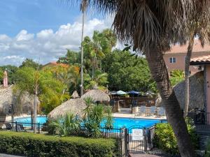 Tahitian Inn Boutique Hotel Tampa游泳池或附近泳池