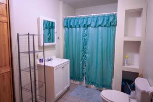 a bathroom with a blue shower curtain and a sink at Marina Vista in Penn Yan +25 photos