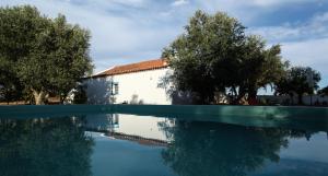 a house and a pool of water with trees at Montadinho Houses in São Bartolomeu da Serra
