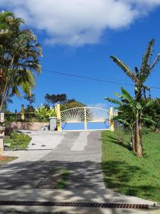 a driveway with a gate and a palm tree at Concept Kreyol in Sainte-Rose