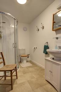 a bathroom with a shower and a toilet and a sink at Katrinas Apartment By Treetop Property in Cirencester