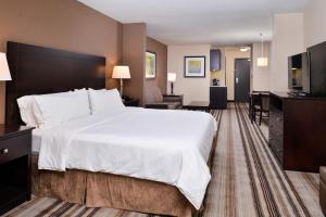 a hotel room with a large bed and a television at Holiday Inn Express & Suites Emporia Northwest by IHG in Emporia +24 photos