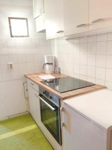 een keuken met een wastafel en een fornuis top oven bij Pension Huber - Apartement Wien 9 in Wenen