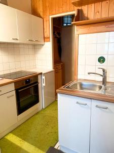 een kleine keuken met een wastafel en een fornuis bij Pension Huber - Apartement Wien 9 in Wenen