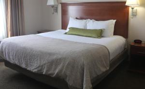 a bed in a hotel room with a green pillow on it at Candlewood Suites Fredericksburg by IHG in Fredericksburg