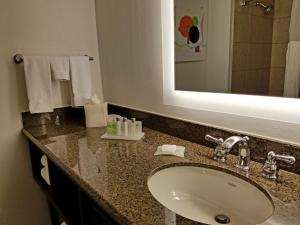 a bathroom with a sink and a mirror at Holiday Inn Irving Las Colinas, an IHG Hotel in Irving