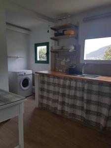 a kitchen with a sink and a washing machine at Siempreviva in Las Palmas de Gran Canaria