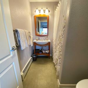 a bathroom with a sink and a mirror at Susitna Place B&B in Anchorage