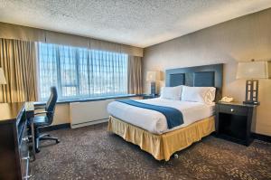 a hotel room with a bed and a desk and a window at Holiday Inn Express Detroit-Birmingham, an IHG Hotel in Birmingham