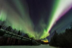 una imagen de la aurora bailando en el cielo en Candlewood Suites - Fairbanks, an IHG Hotel en Fairbanks