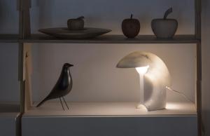 a shelf with two birds and a lamp on it at Casa Alchimia in Freeport