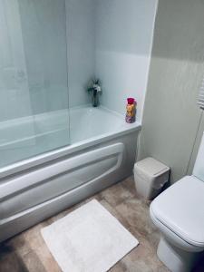 a bathroom with a bath tub and a toilet at Logi - Bear in Felton