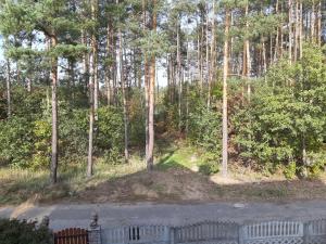 Afbeelding uit fotogalerij van Noclegi Pod Lasem in Lubrza +56 foto's