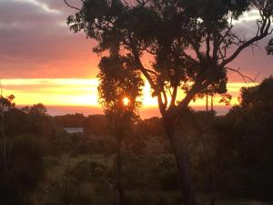 um pôr-do-sol sobre o oceano com uma árvore em primeiro plano em Eagle Bay House em Dunsborough