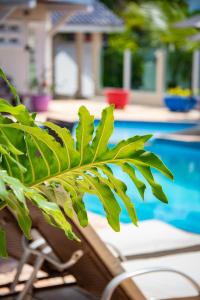 a green plant in front of a swimming pool at Paúba Beach Hotel in Pauba