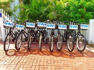 a group of bikes parked next to a fence at Nyah - Adult Exclusive in Key West