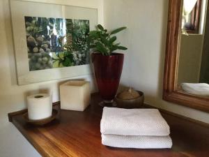 une table en bois avec une plante et un vase sur elle dans l'établissement Fantastic views at Friends, à Port Antonio