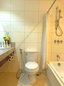 a bathroom with a toilet and a sink and a shower at Citi Park Hotel in Cebu City