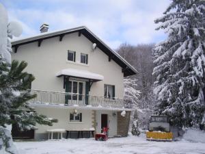 Gîte grande capacité au calme circuit Cascades du Hérisson في Bonlieu: منزل في الثلج مع أشجار مغطاة بالثلج