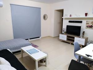 een woonkamer met een bank en een tv bij Xylophagou Larnaca Ayia Napa 1 bedroom apartment in Xylophaghou