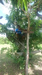 Giardino di Mida Creek Nature Camp