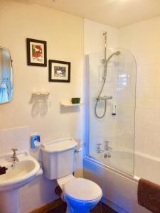 La salle de bains est pourvue de toilettes, d'un lavabo et d'une douche. dans l'établissement Burnside Lodge, à Portnahaven