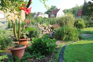 um jardim com plantas e uma parede de pedra em Big Mama_s Home em Tschernitz