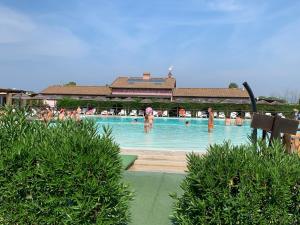 The swimming pool at or close to Fattoria Palazzeta - Pet & Family Friendly