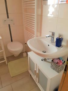 a bathroom with a sink and a toilet at marielies-urlaubsstube in Meißenheim