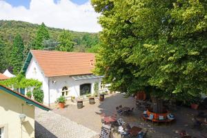 Příroda nedaleko hotelu + 37 fotografií