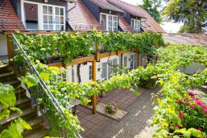 - un jardin avec un bouquet de plantes et de fleurs dans l'établissement Hotel Annaberg, à Bad Dürkheim