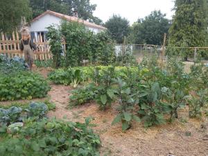 a gardener standing in a garden with plants at La Folie in Breuil-Barret