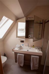 een badkamer met een wastafel, een spiegel en een toilet bij B&B D'Hollehoeve in Heist-op-den-Berg