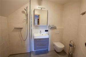 a bathroom with a shower and a sink and a toilet at B&B D'Hollehoeve in Heist-op-den-Berg