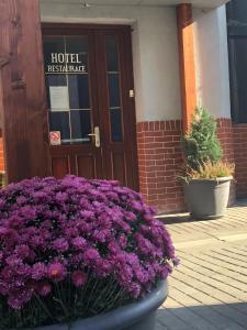 a pot of purple flowers in front of a hotel register at Hotel na Kafkové in Ostrava
