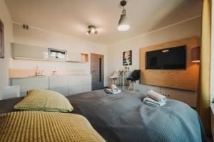 a bedroom with a bed and a flat screen tv at Beautiful new studio, 400m from the square in Pilsen