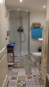y baño con ducha y aseo. en Magic in the Heart of Old Gozo (Penthouse), en Victoria