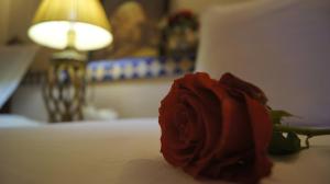 una rosa rossa seduta sopra un letto di Riad Les Trois Palmiers El Bacha a Marrakech