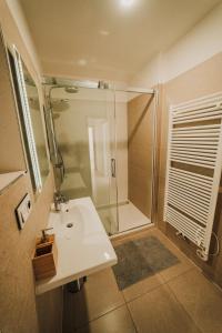ein Badezimmer mit einem weißen Waschbecken und einer Dusche in der Unterkunft New equipped apartment in the city center in Pilsen