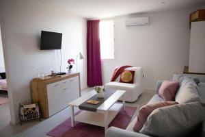 TV a/nebo společenská místnost v ubytování Antalóczy Winery&Apartments