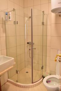 a shower stall in a bathroom with a toilet at Cedar Lodge in Bansko