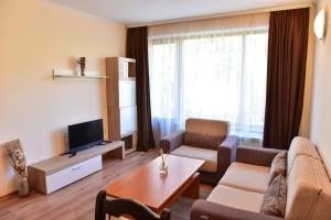 a living room with a couch and a tv at Cedar Lodge in Bansko