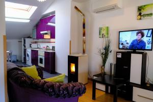 a living room with a couch and a tv at Atico Romántico in El Barraco