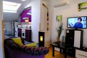 ein Wohnzimmer mit einem Sofa und einem TV in der Unterkunft Atico Romántico in El Barraco