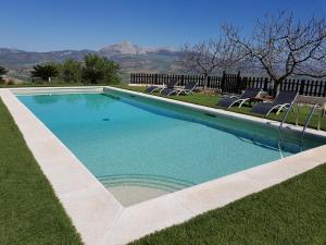 a swimming pool with chairs in the grass at Casita Las Melosillas in Casabermeja +21 photos